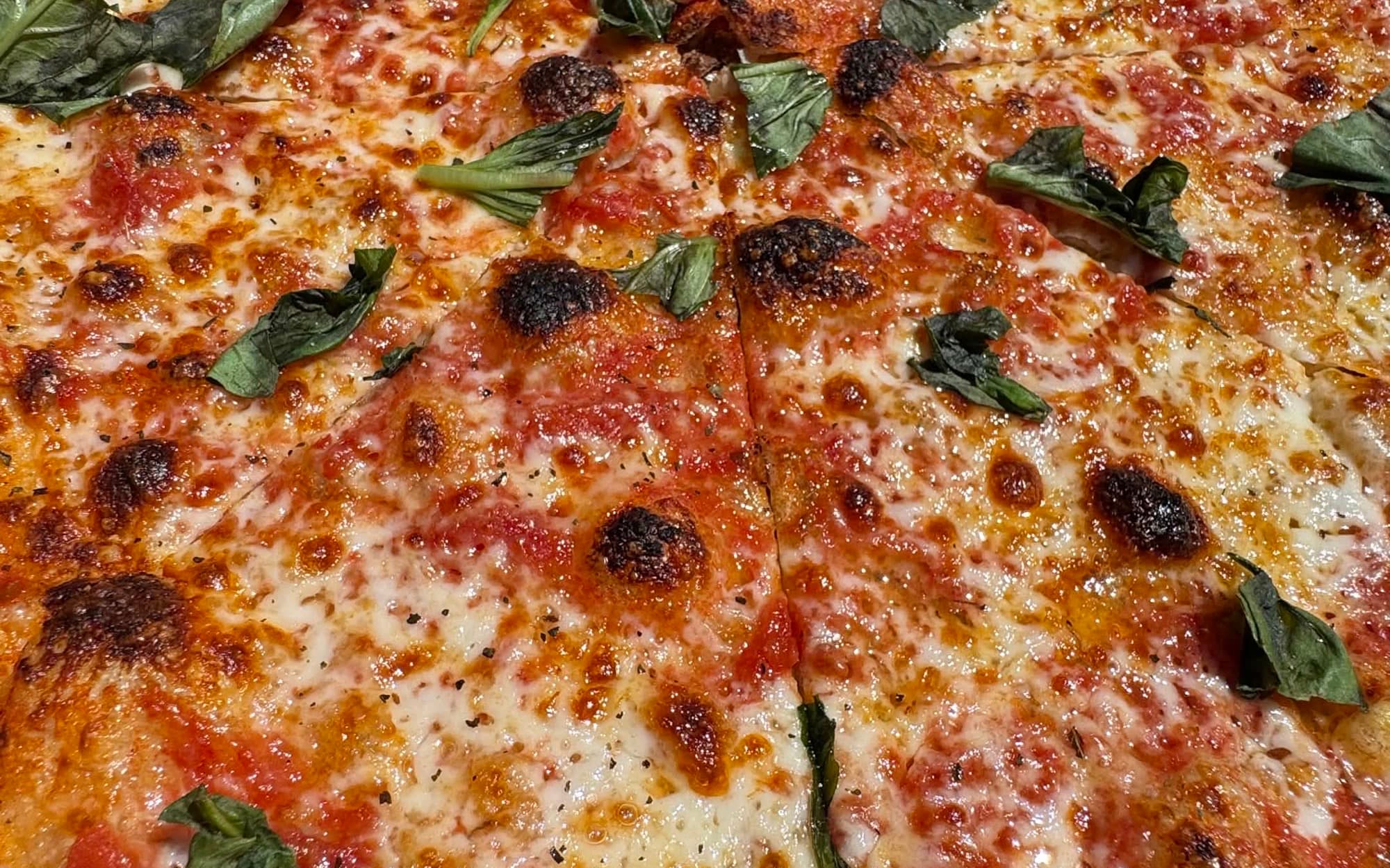 Close-up of a cheese pie: melted mozzarella, tomato sauce, charred spots and fresh basil.